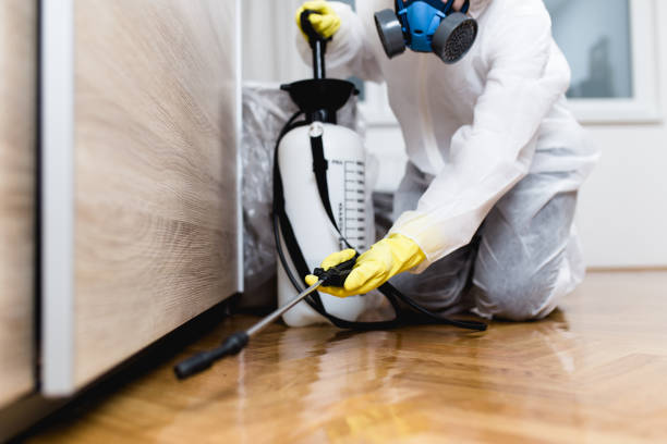 Best Flea Control Services  in Preston, ID
