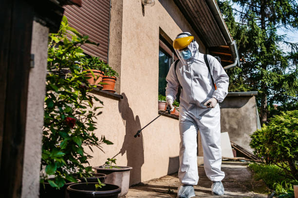 Best Residential Pest Control  in Preston, ID