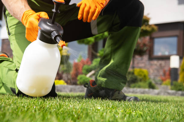 Best Wildlife Control Services  in Preston, ID