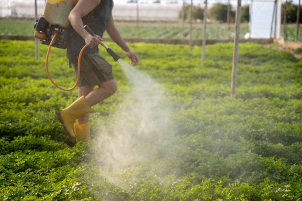 Best Pest Removal Services  in Preston, ID
