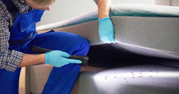 Professional Pest Control in Preston, ID