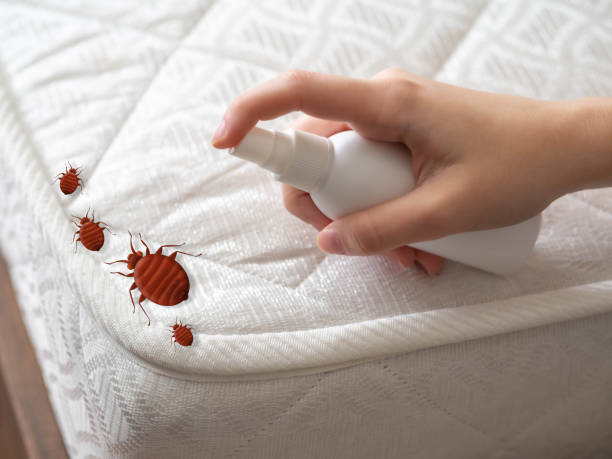 Best Commercial Pest Control Services  in Preston, ID